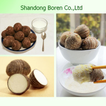 Supply 100% Mature Fresh Taro From China